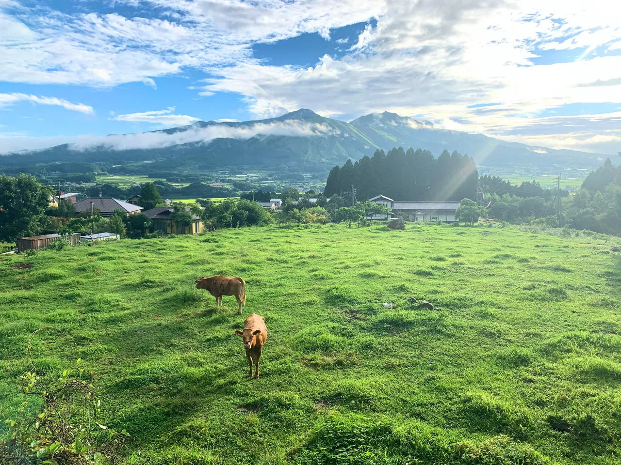 当時の公式記事に掲載された写真